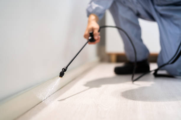 Licensed Pest Control service in Red Lick, TX - Show Me Pest Control
