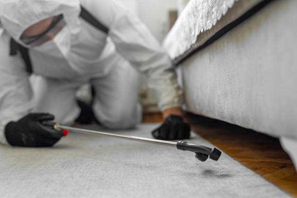 Professional Ant Control technician working in Red Lick, TX